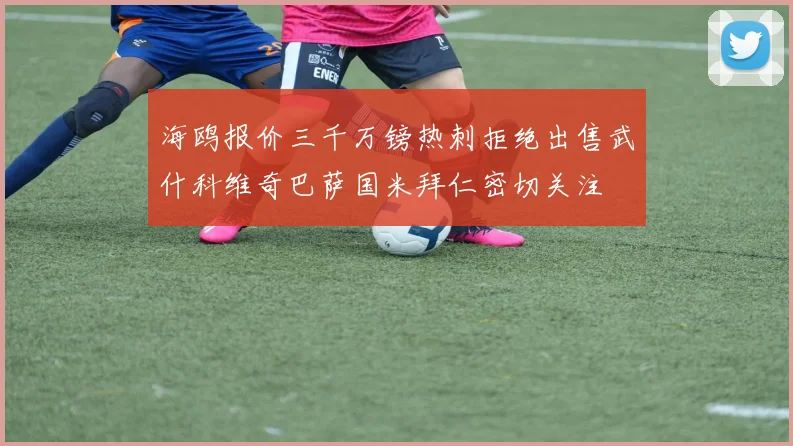 海鸥报价三千万镑热刺拒绝出售武什科维奇巴萨国米拜仁密切关注