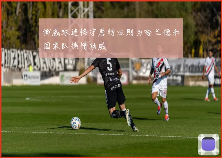 挪威球迷恪守詹特法则为哈兰德和国家队热情助威